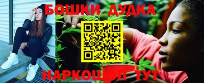 стафф Славгород